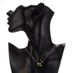 Signature Zodiac Necklace with Card